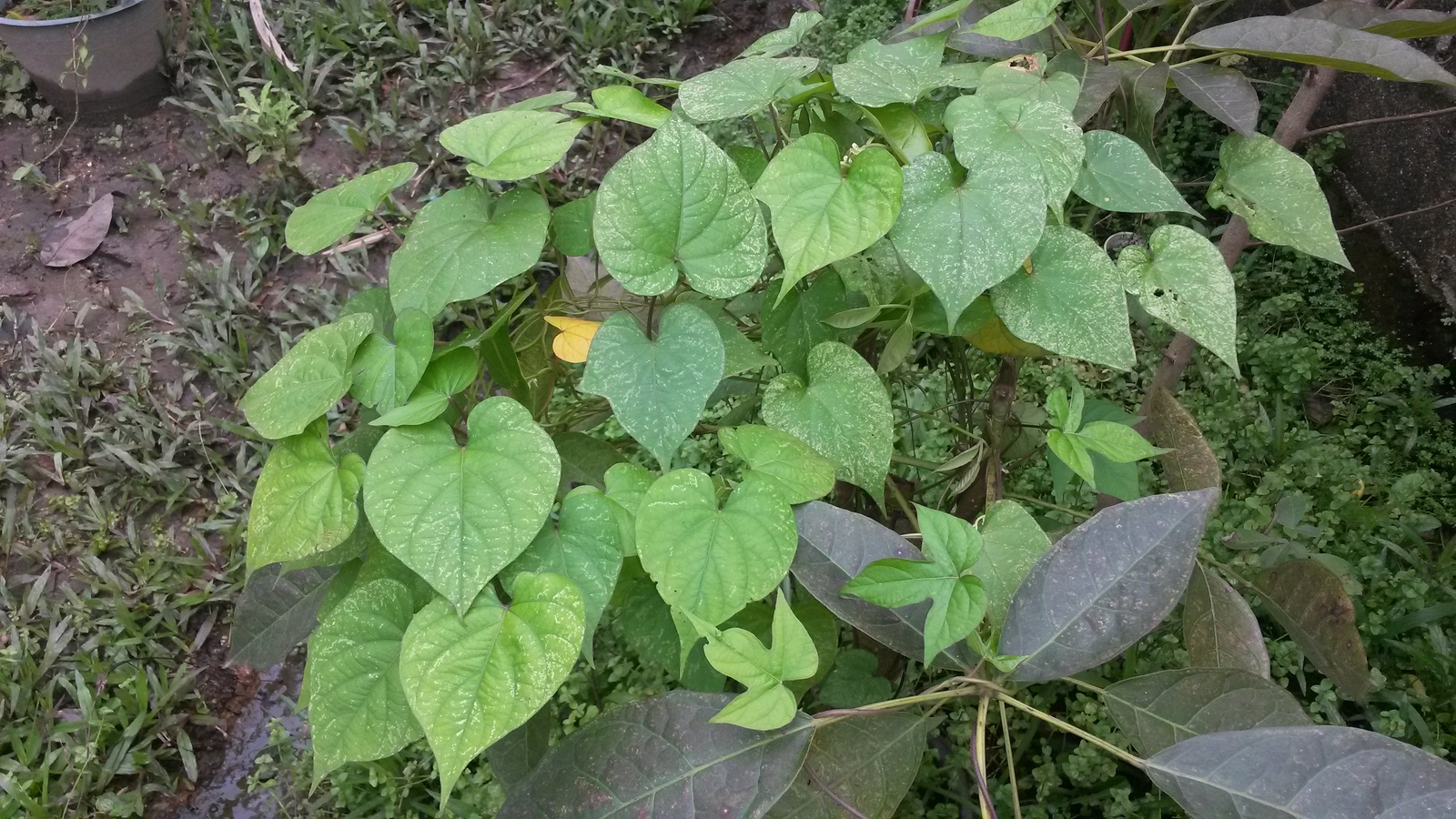 20150125_121044.jpg