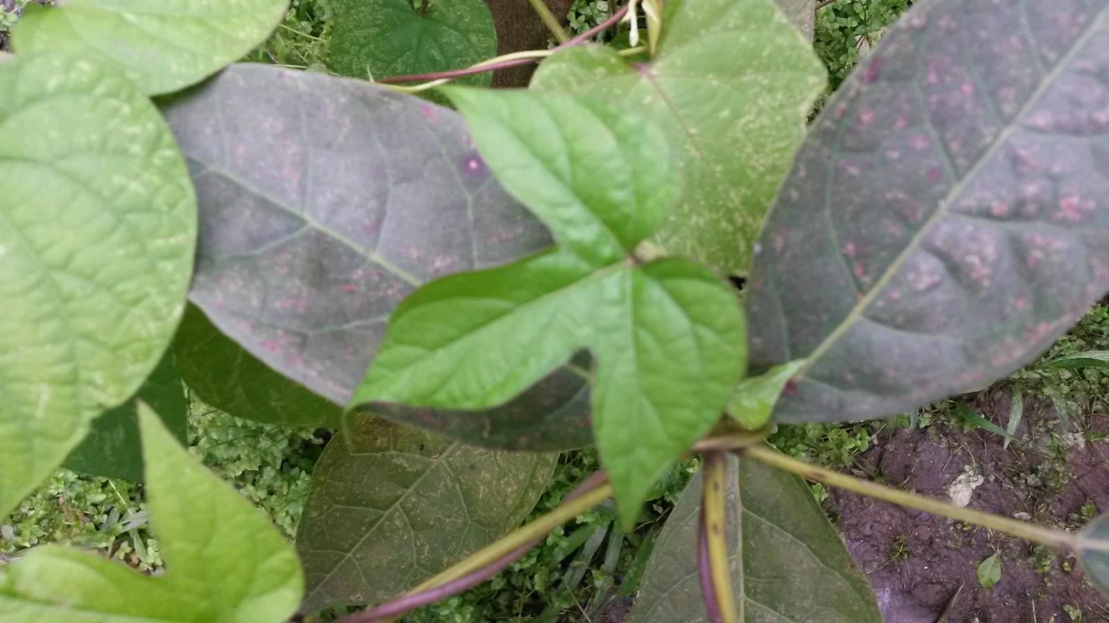 20150125_121102.jpg