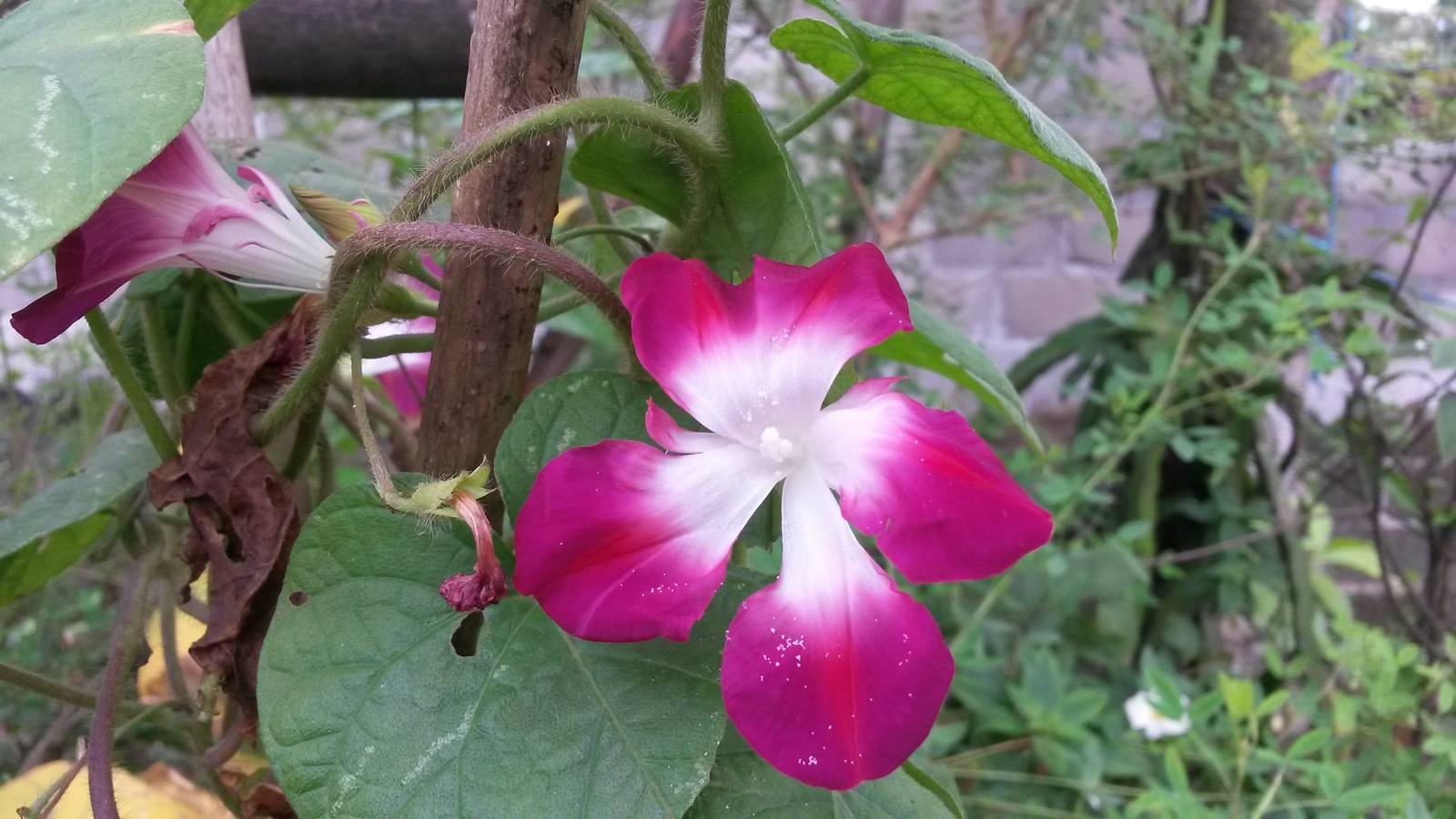 20150125_121454.jpg