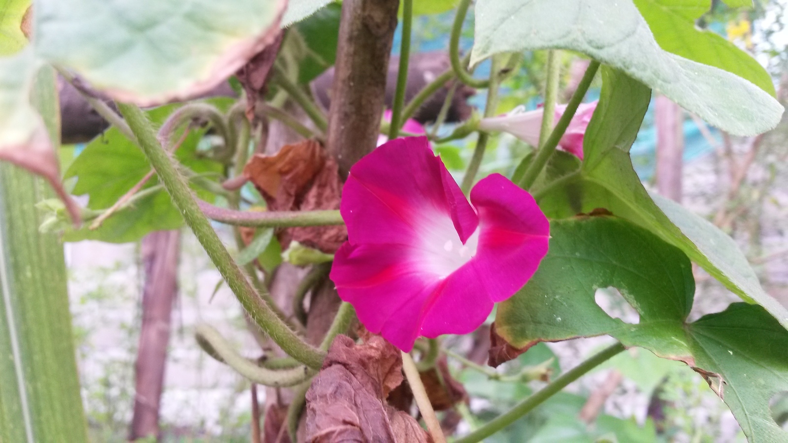 20150125_121555.jpg