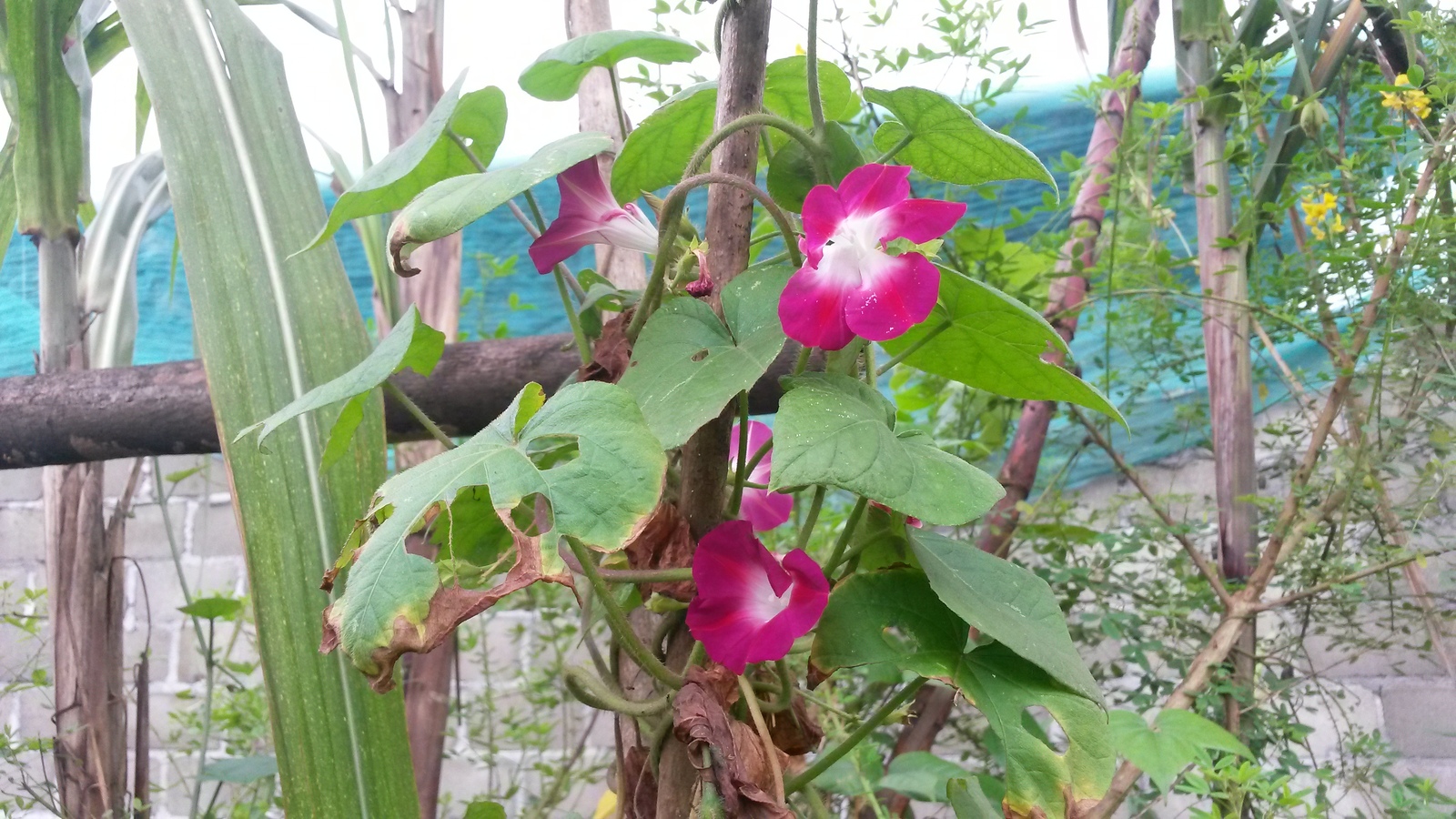 20150125_121559.jpg
