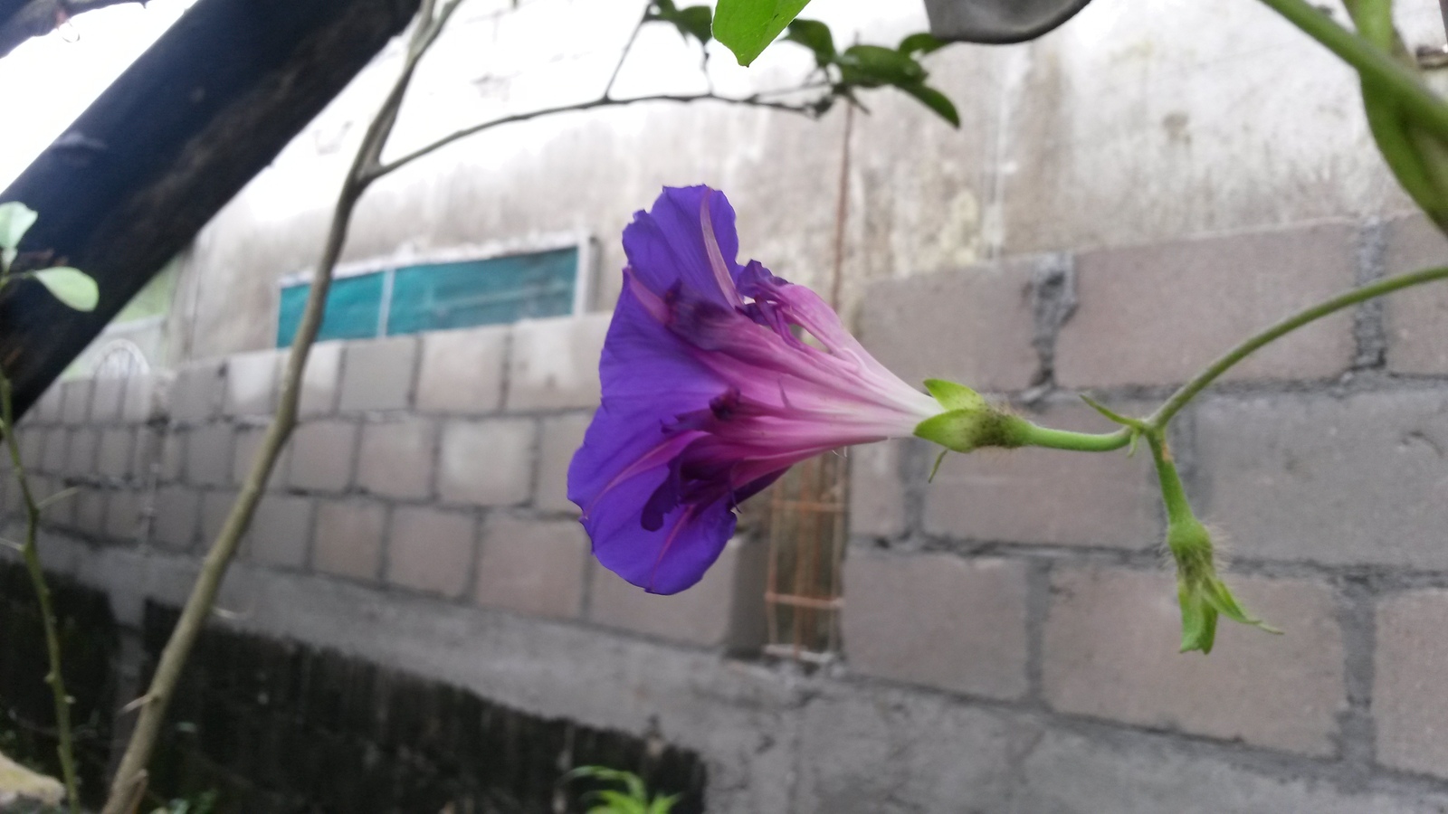 20150125_121837.jpg