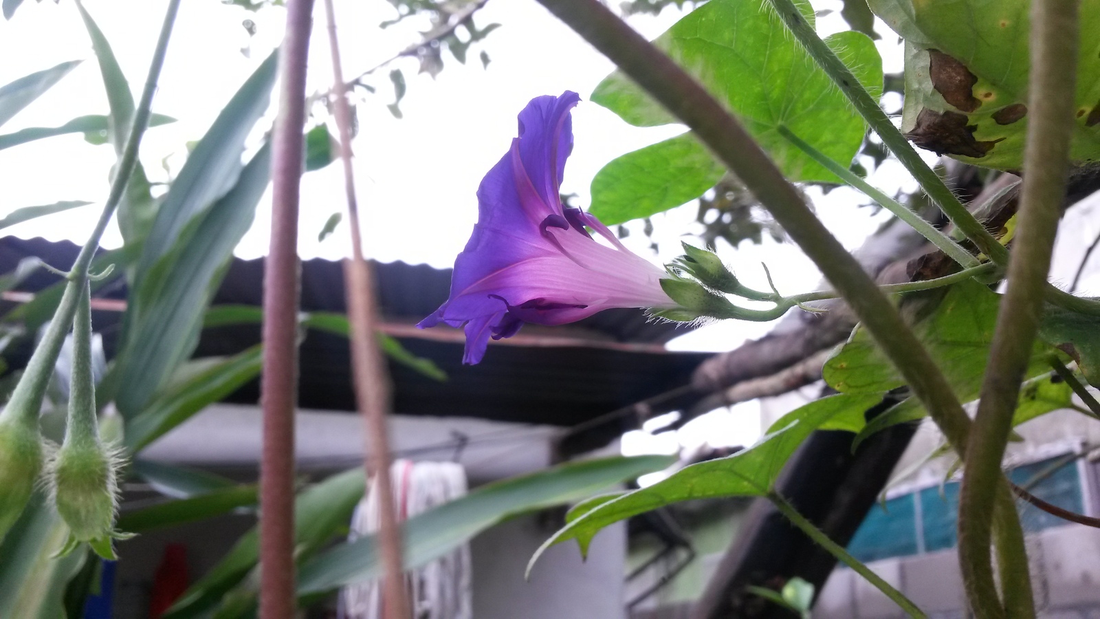 20150125_121846.jpg