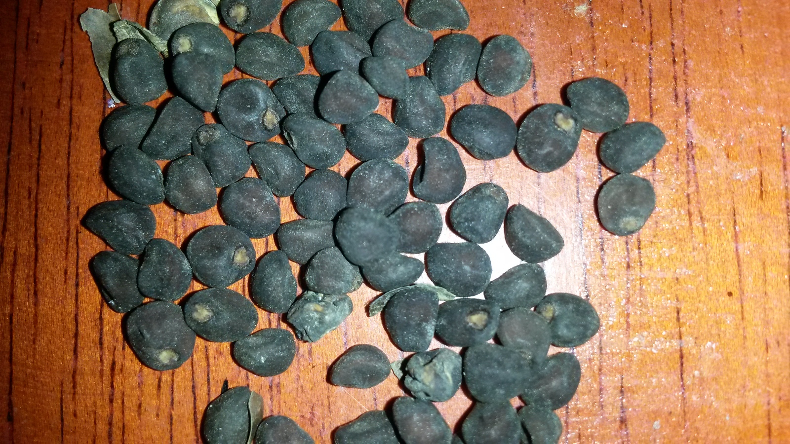20150125_233252.jpg