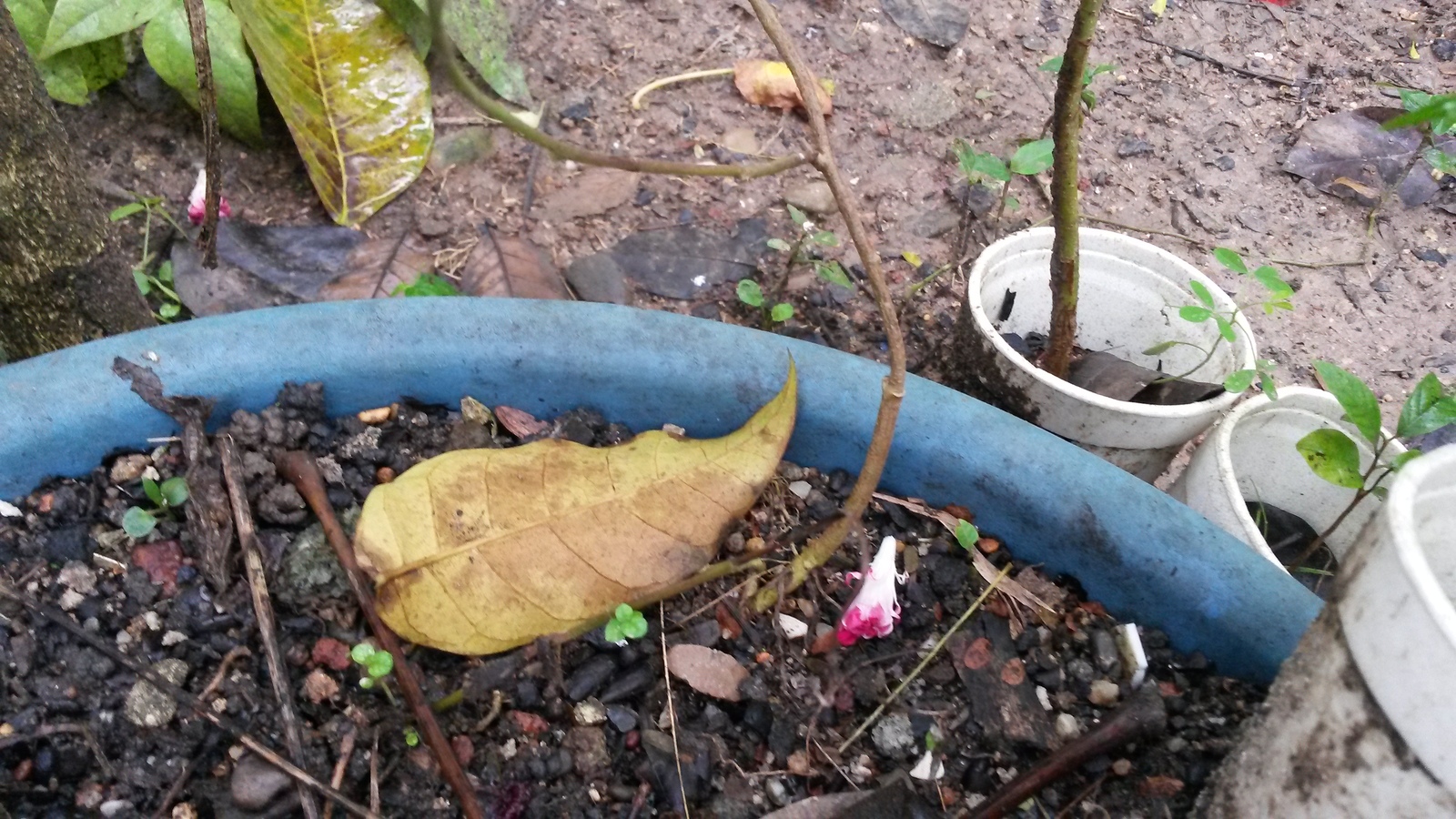 20150126_145205.jpg