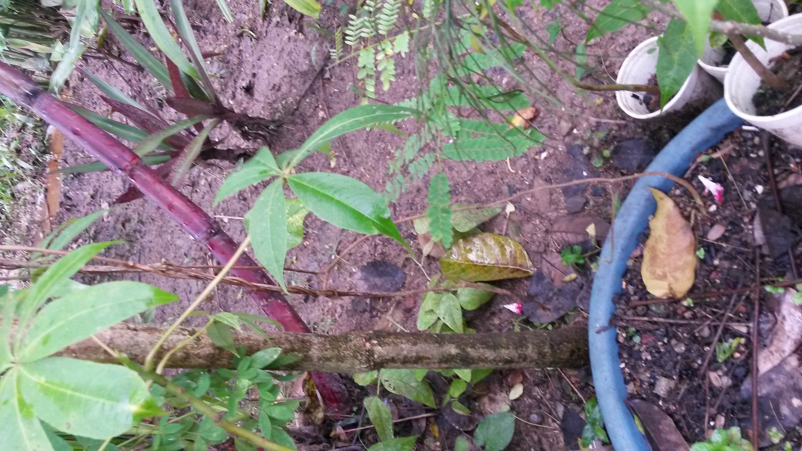 20150126_145217.jpg