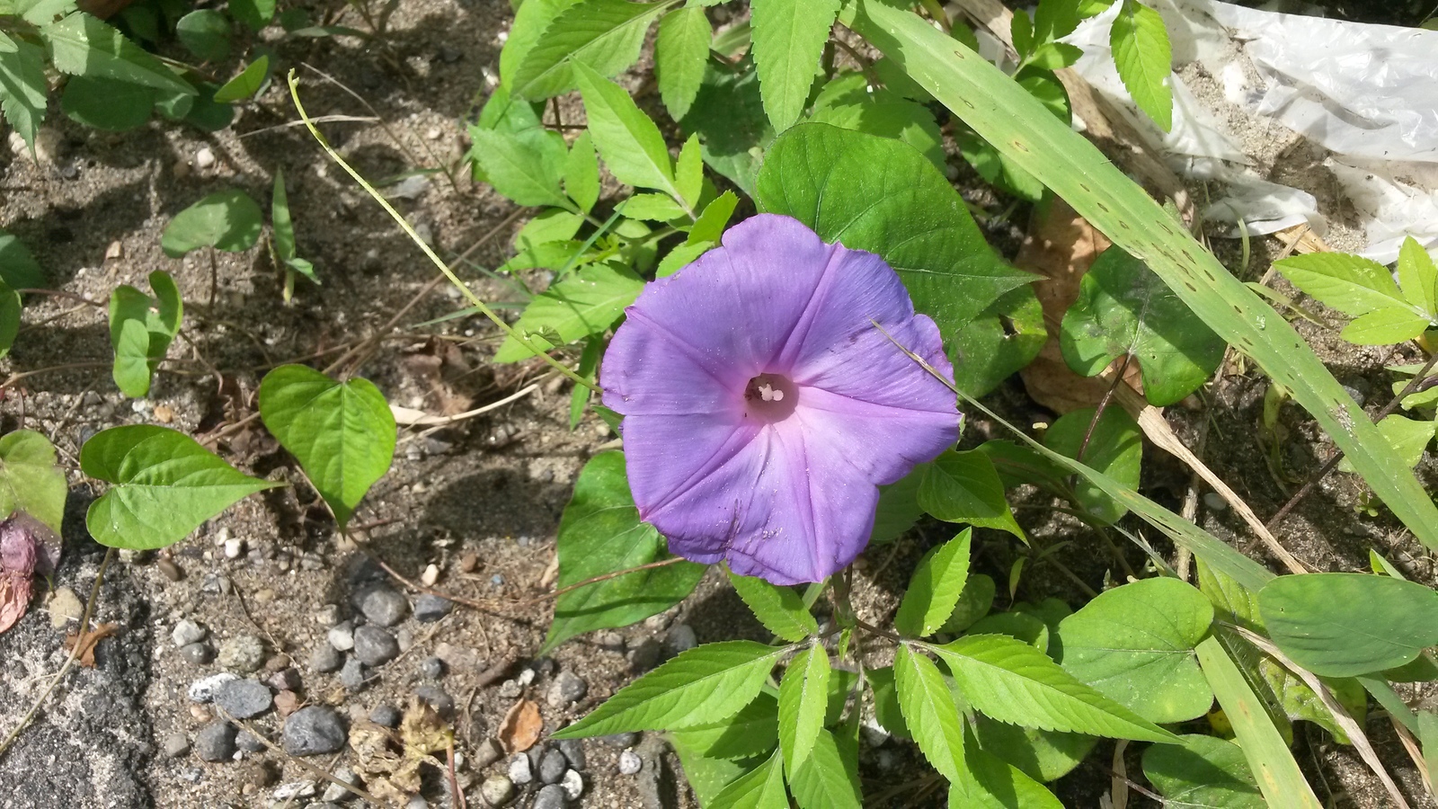 20150127_125137.jpg