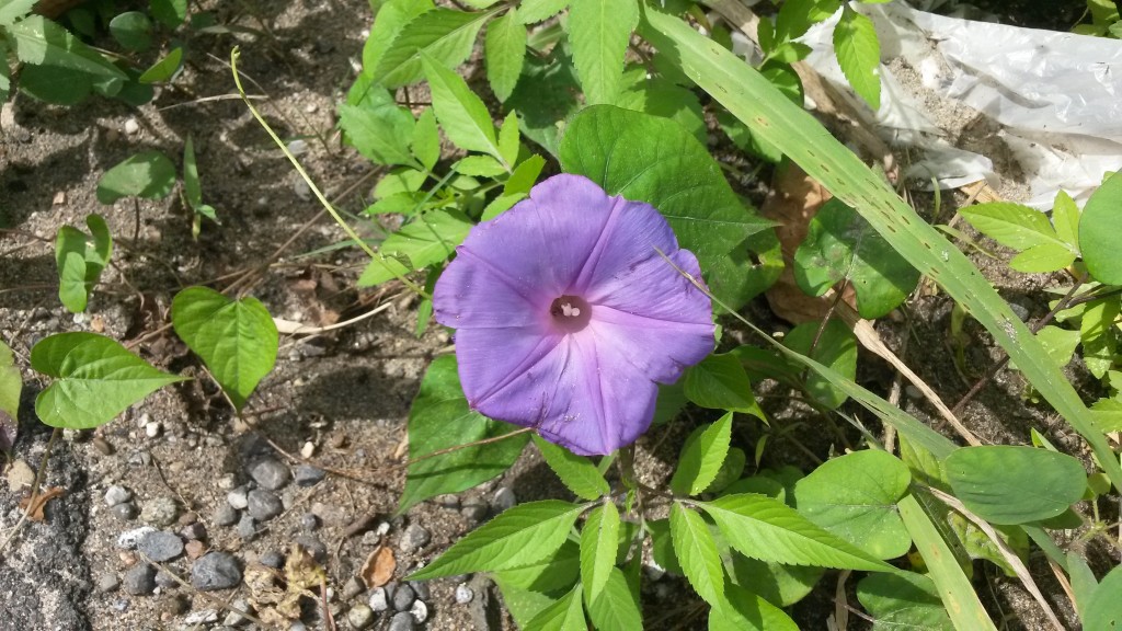 20150127_125138.jpg