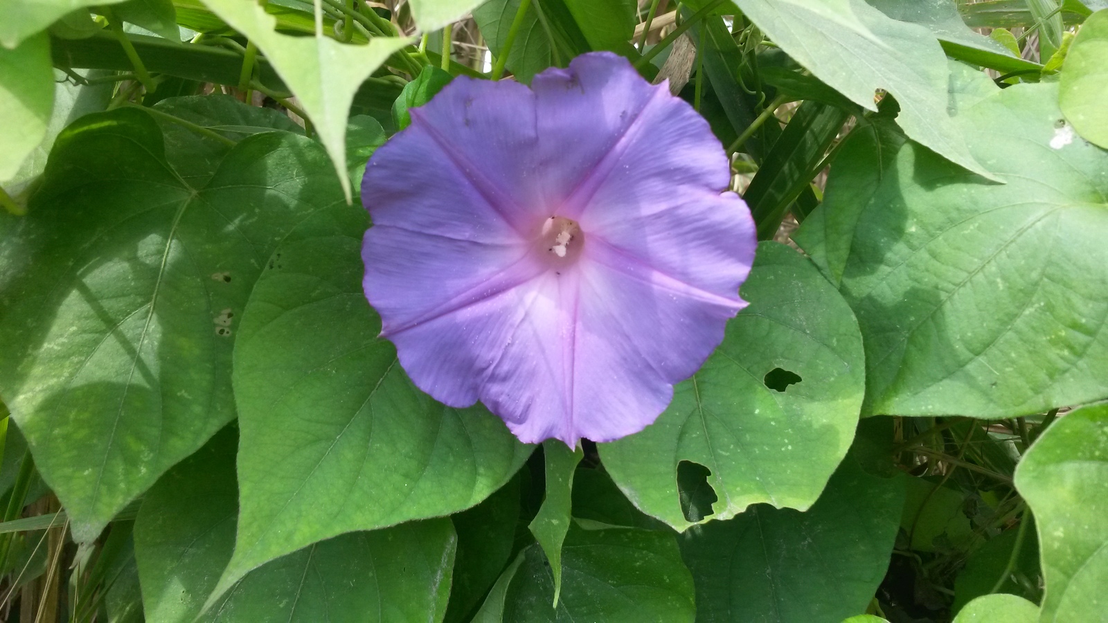 20150127_125148.jpg