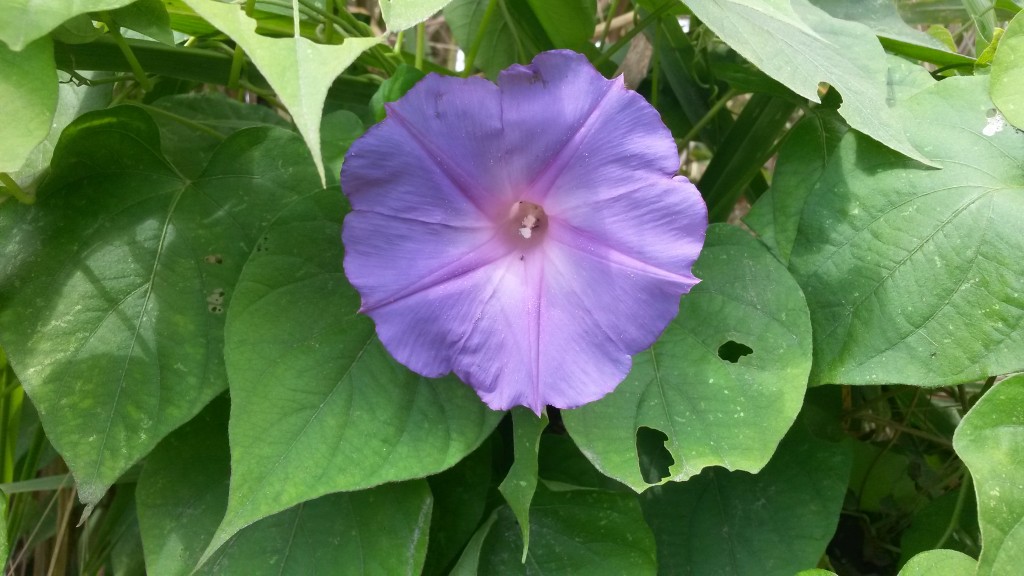 20150127_125149.jpg