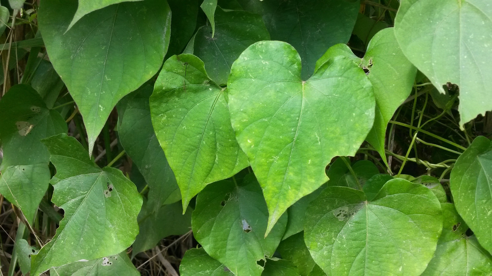 20150127_125153.jpg