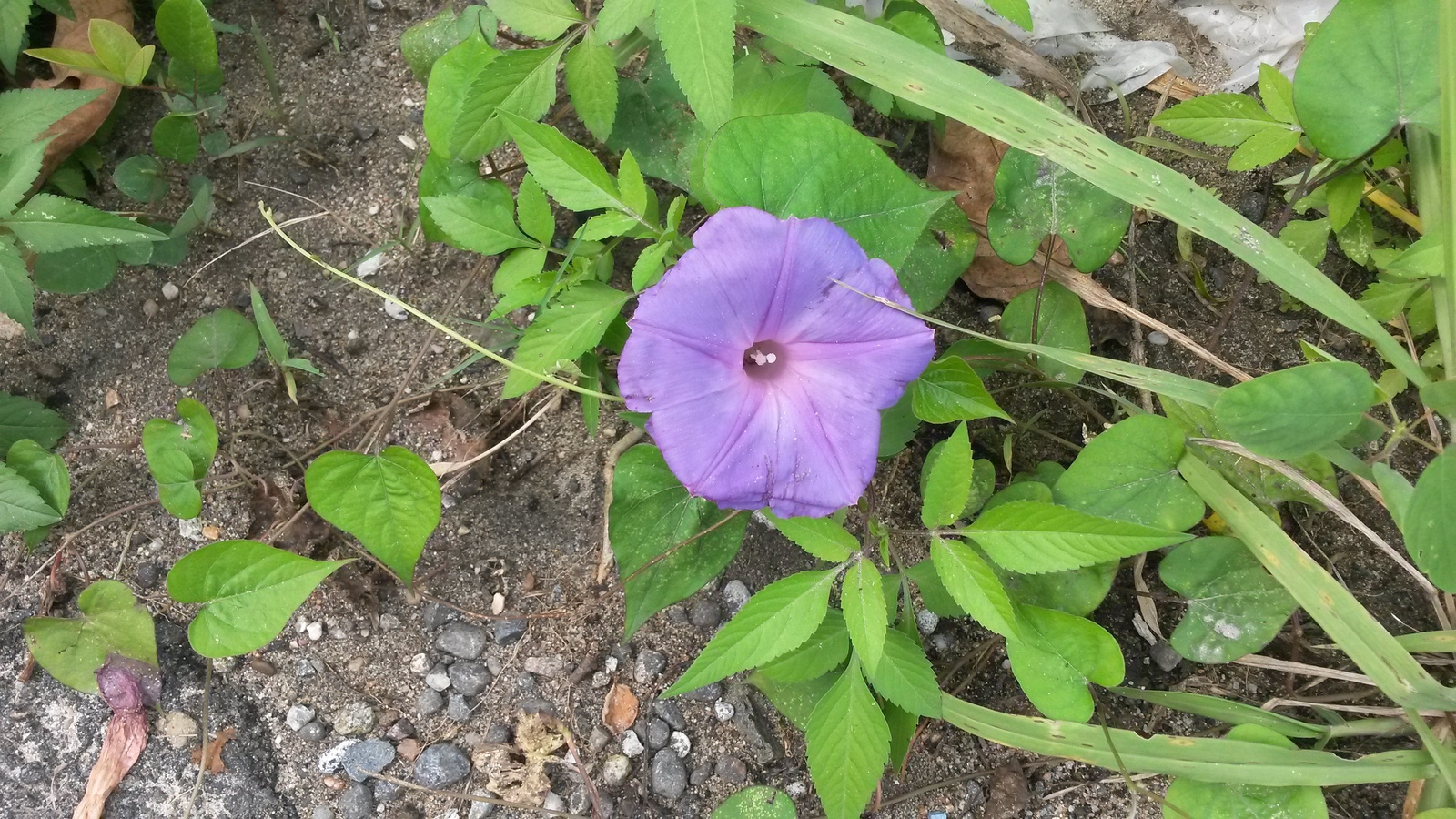20150127_125217.jpg