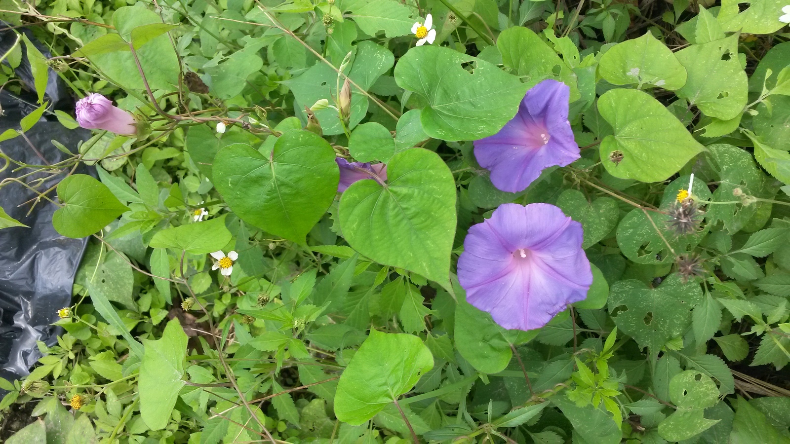 20150127_125324.jpg