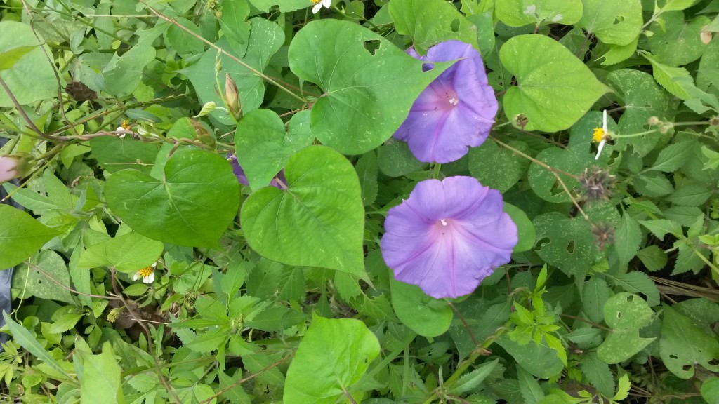20150127_125329.jpg