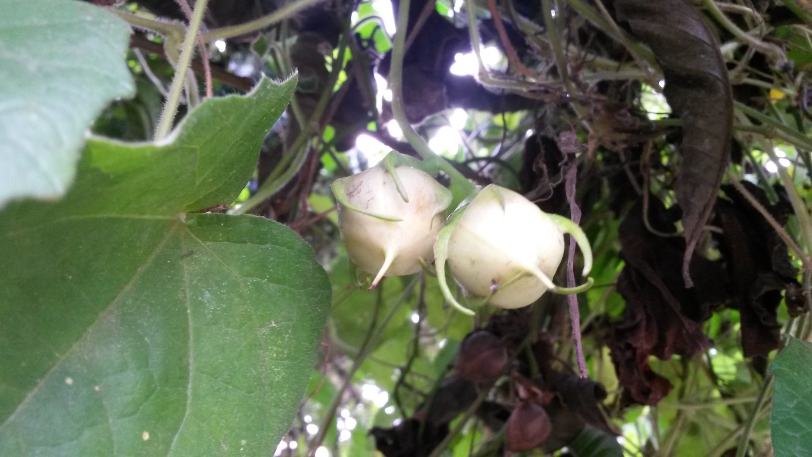 20150128_164229.jpg
