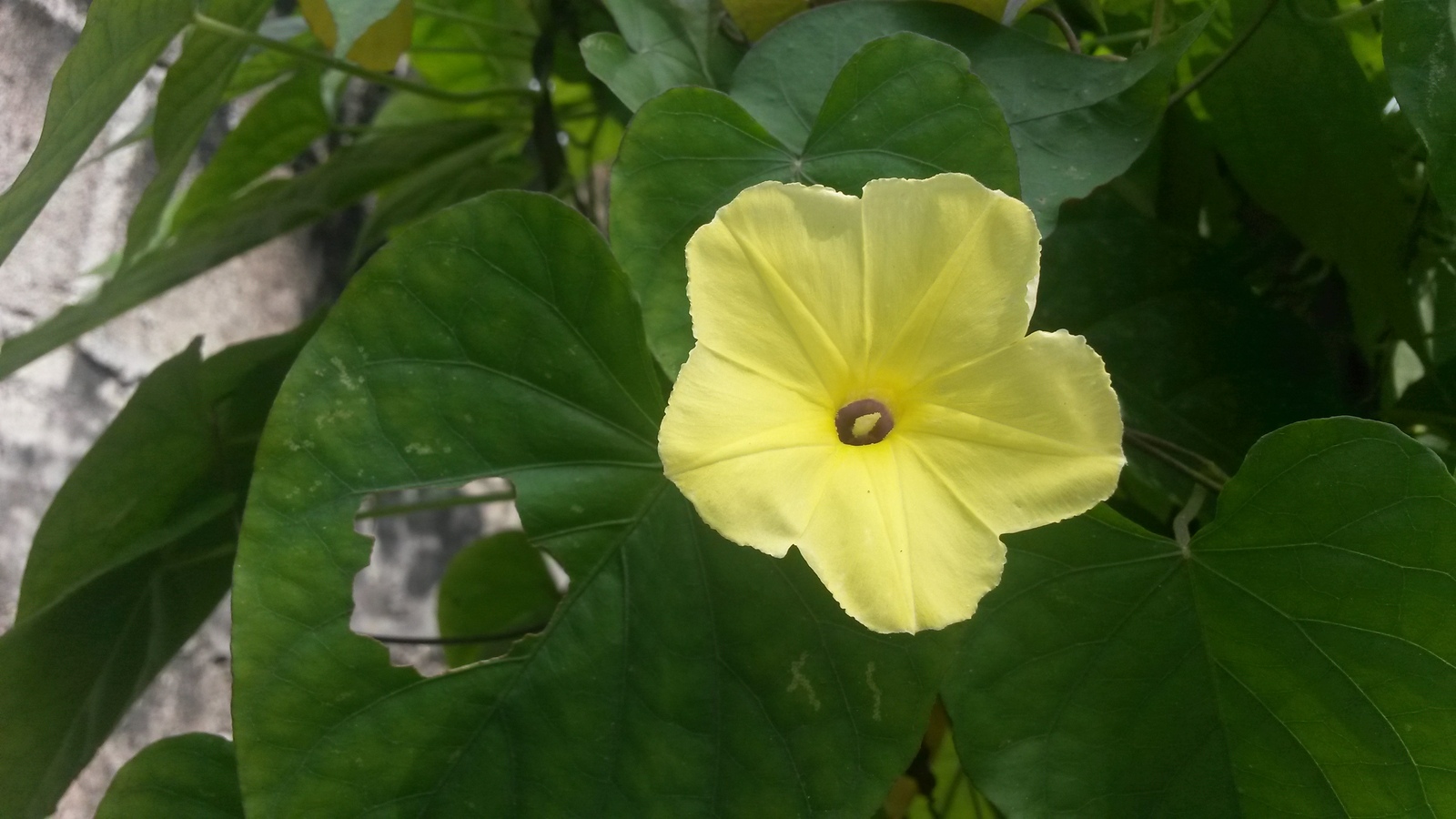 20150130_111753%201.jpg