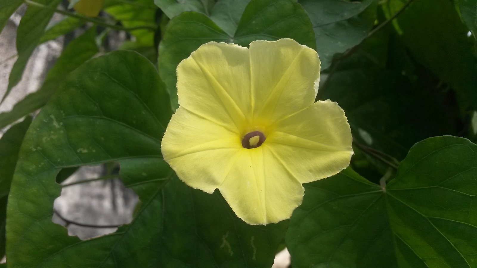 20150130_111758.jpg
