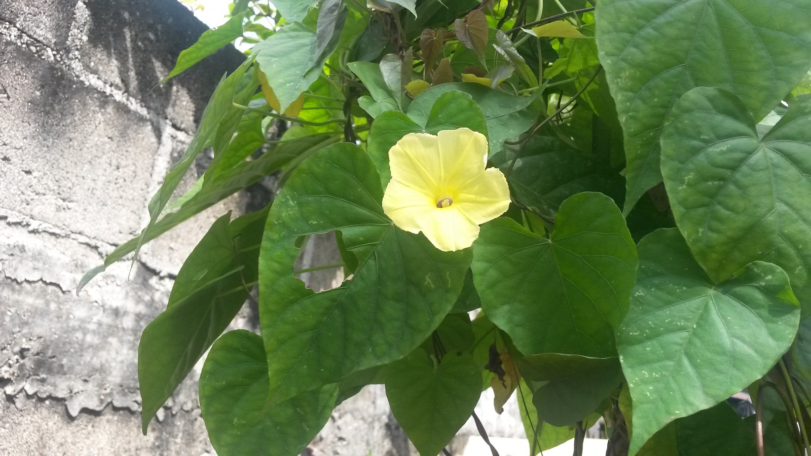 20150130_111806%201.jpg
