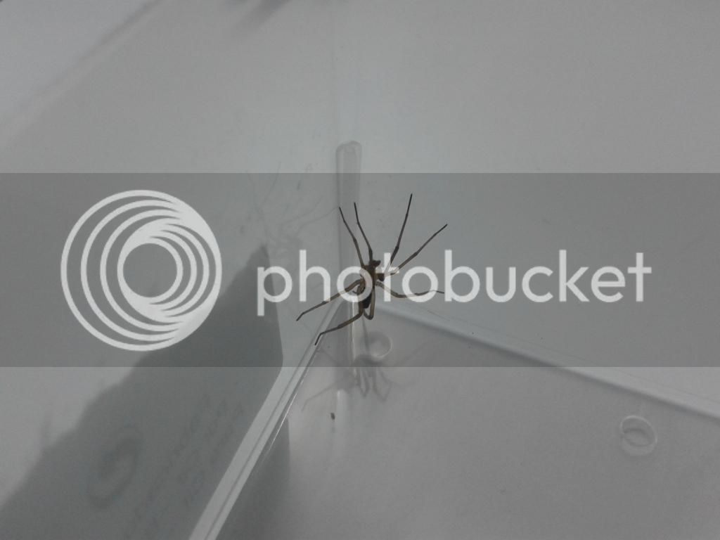20150207_000748_zpsv7cx8z8c.jpg
