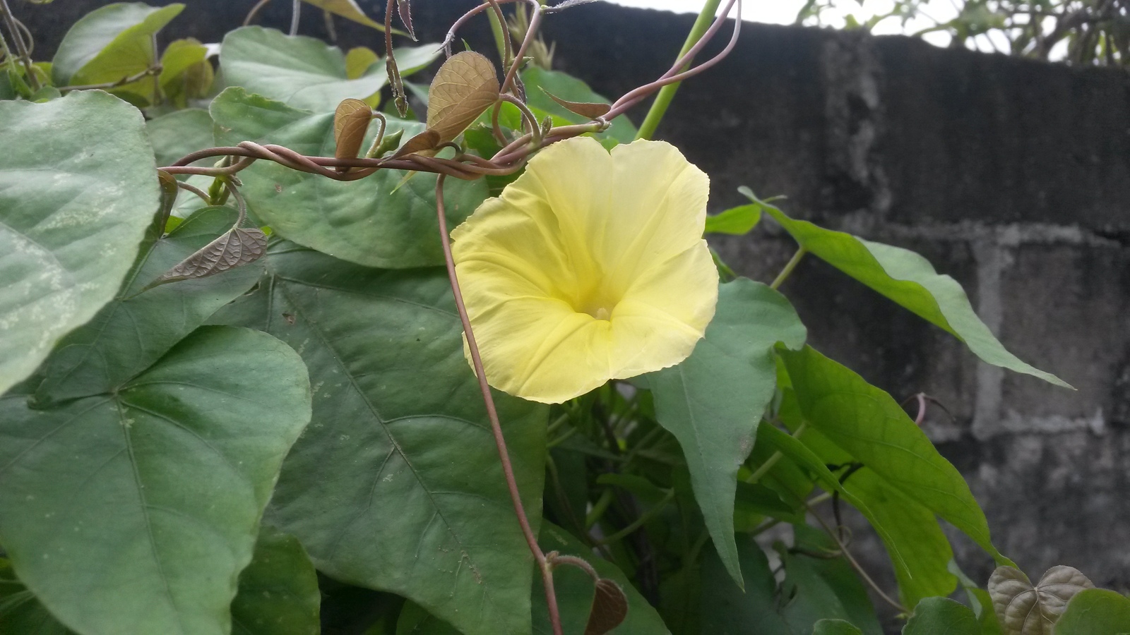 20150207_131034.jpg