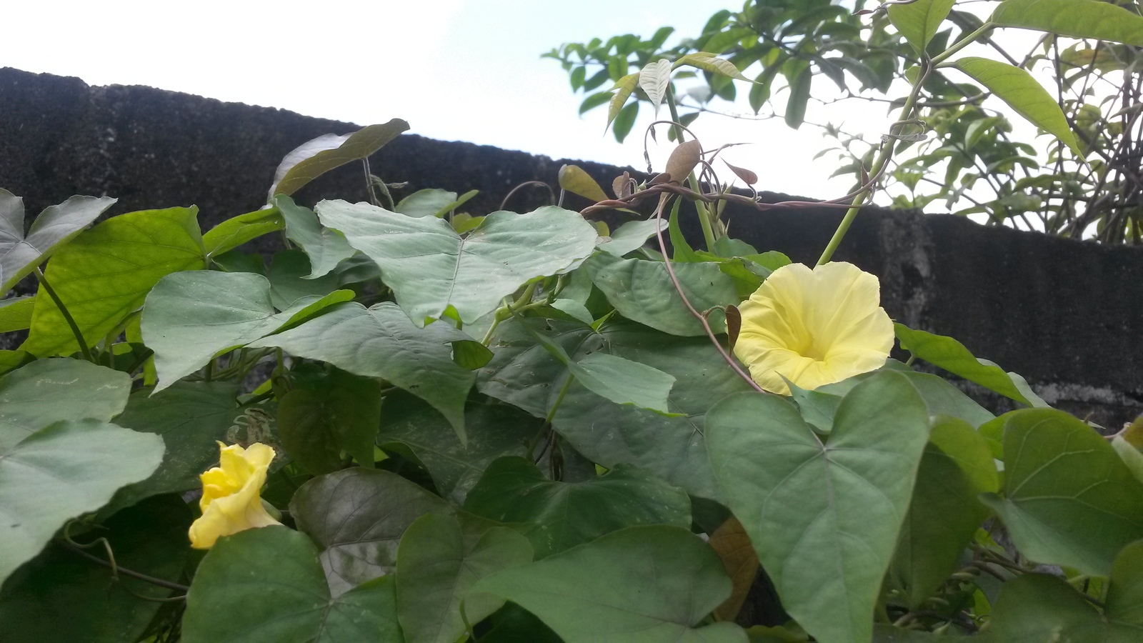 20150207_131043.jpg