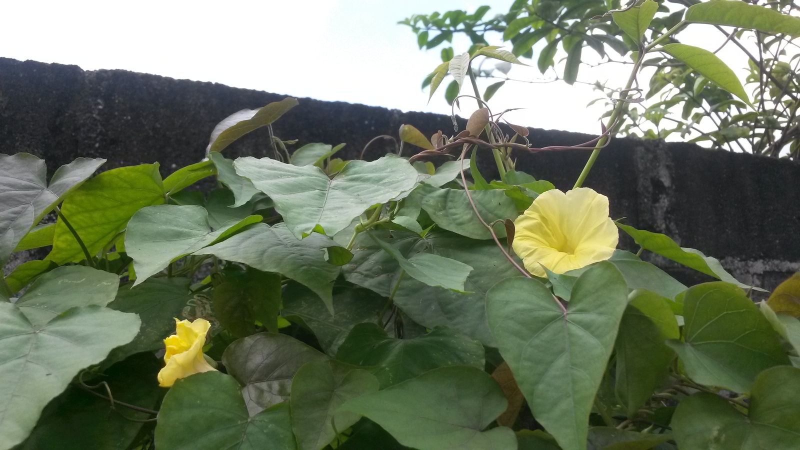 20150207_131044.jpg