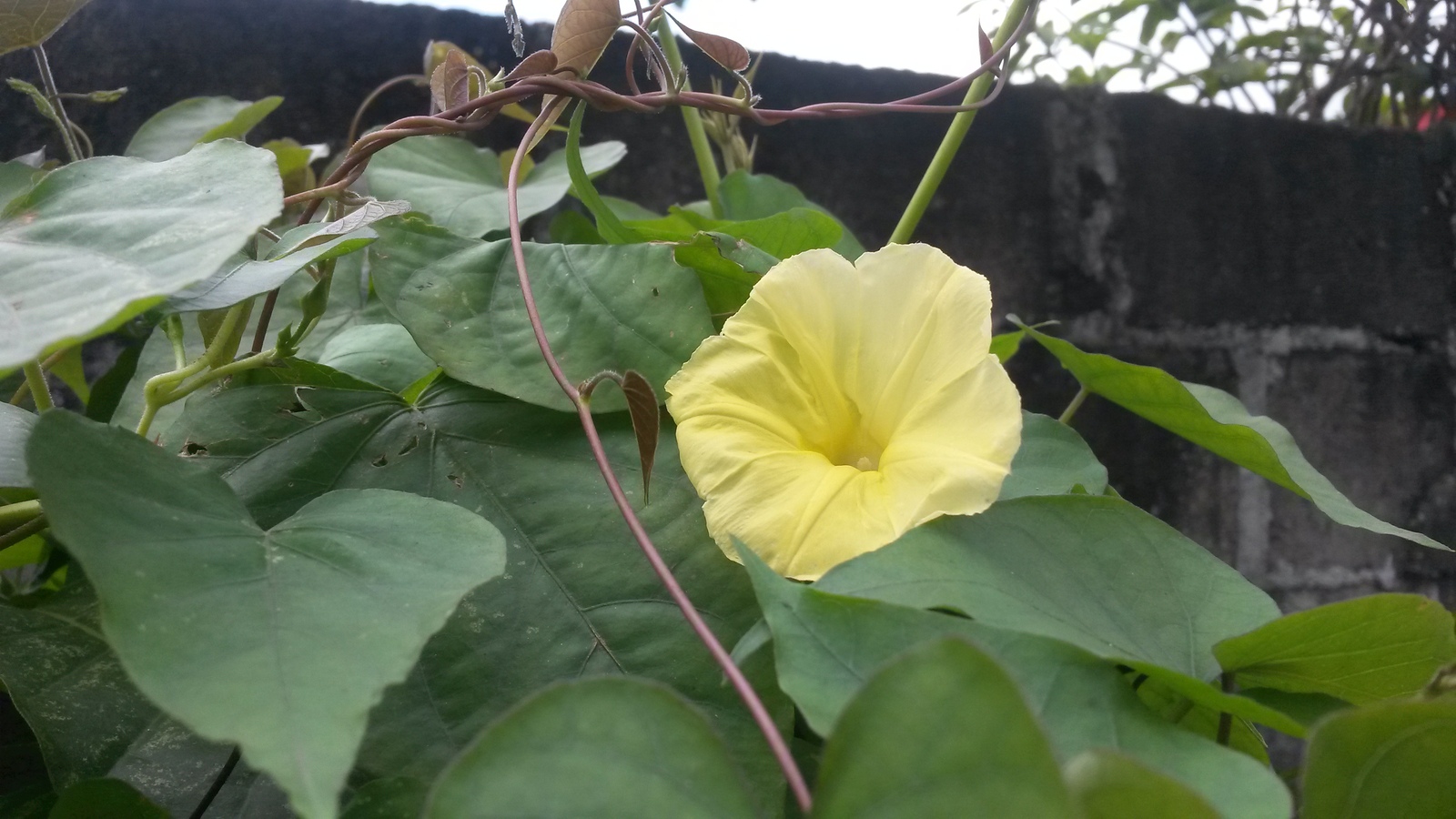 20150207_131052.jpg