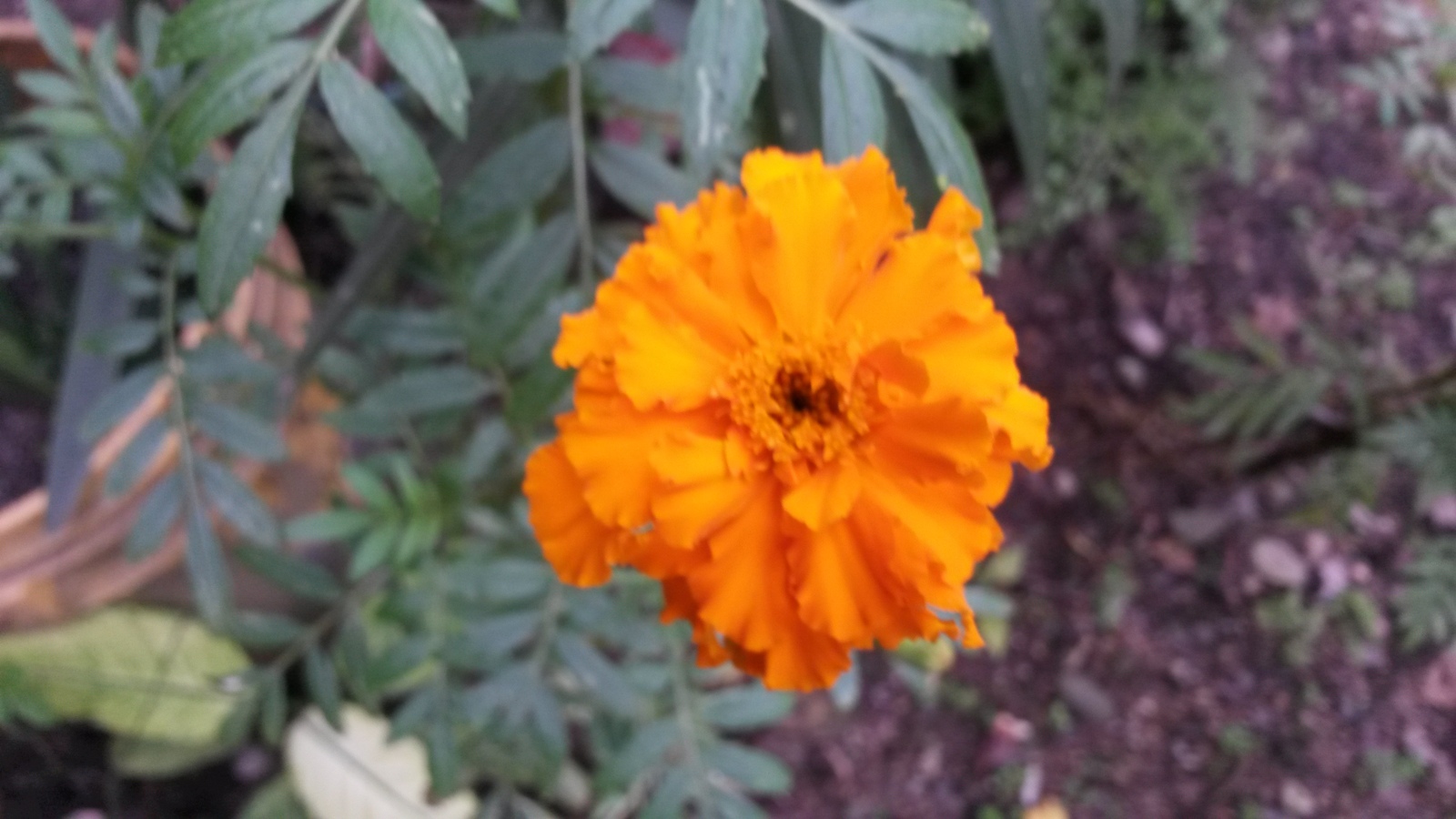 20150207_163741.jpg