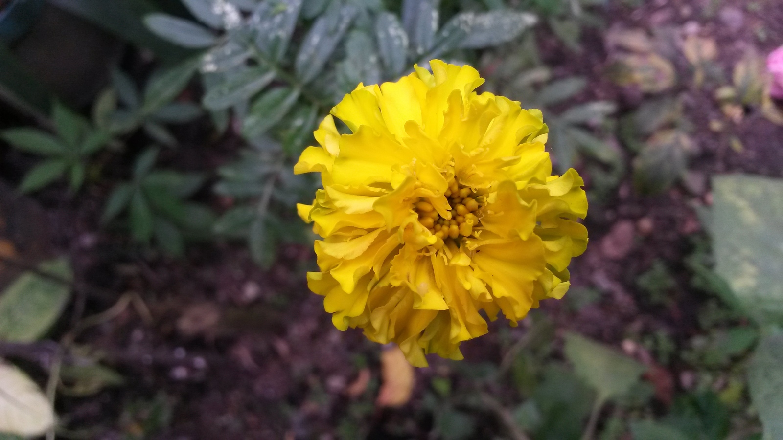 20150207_163758.jpg