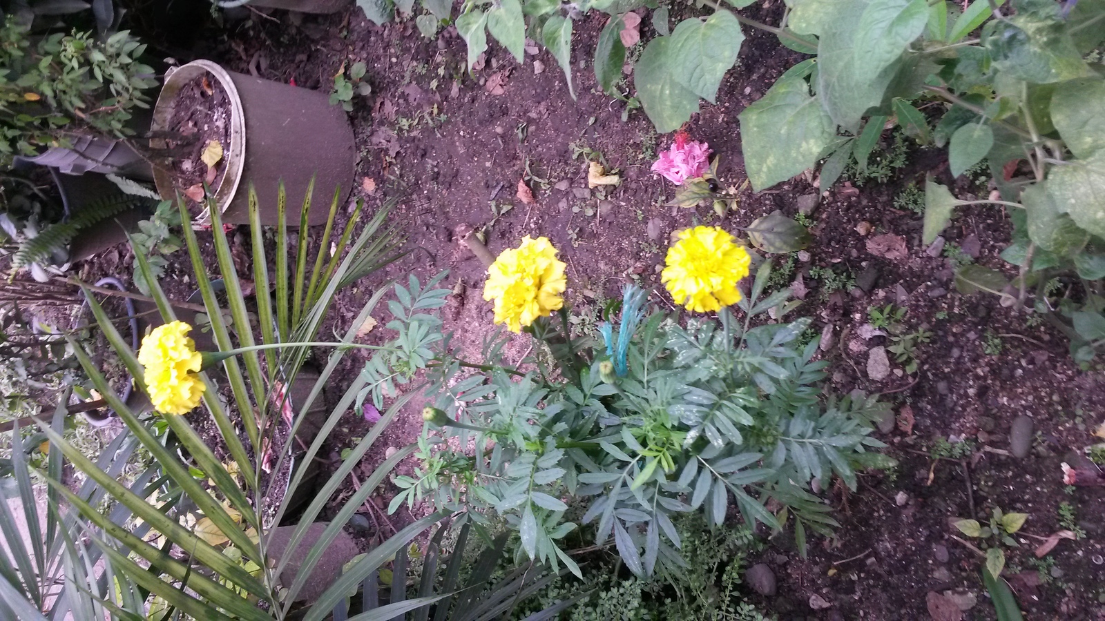 20150207_163811.jpg