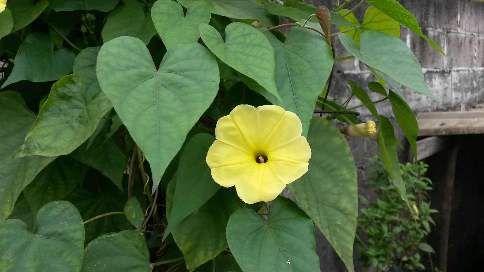 20150213_100810.jpg