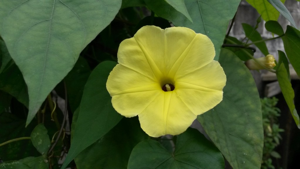20150213_100814.jpg