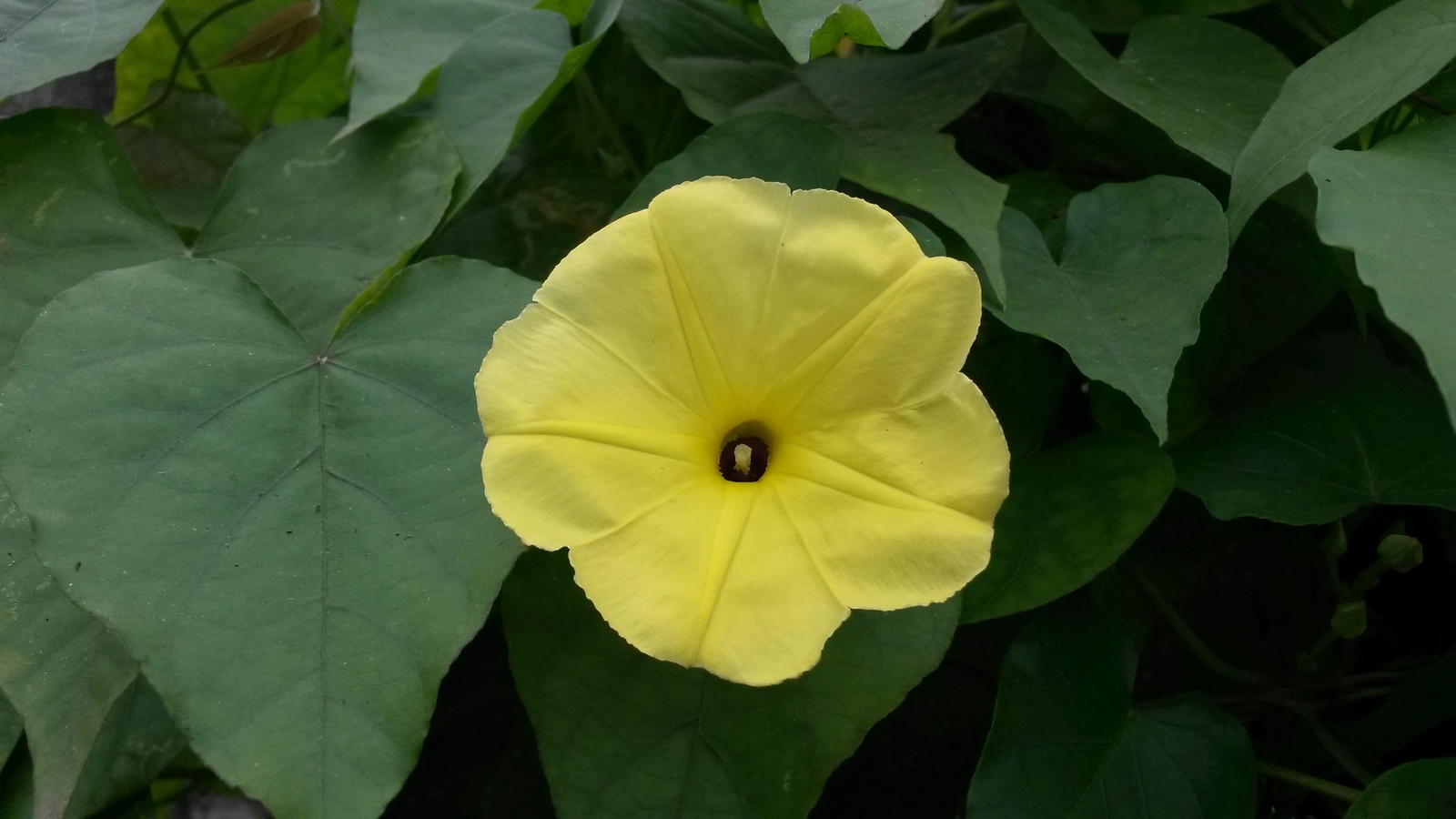 20150213_100823.jpg