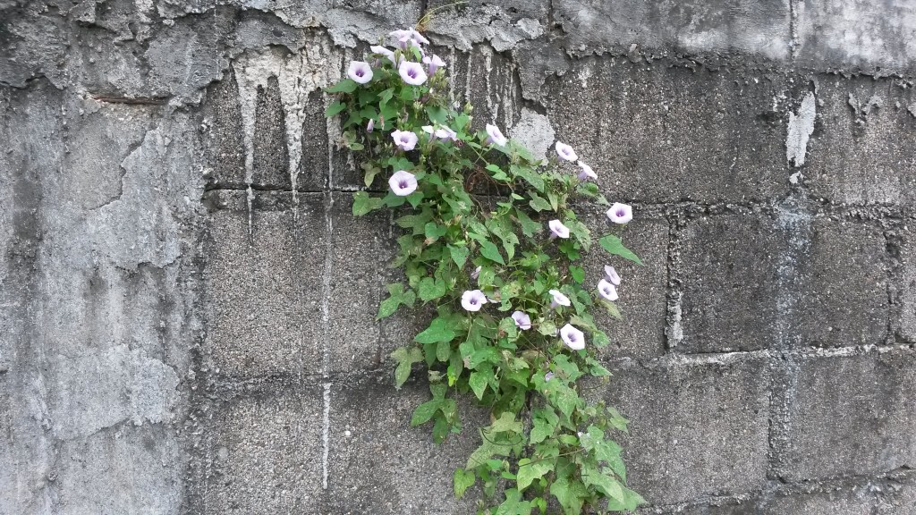 20150213_101401.jpg