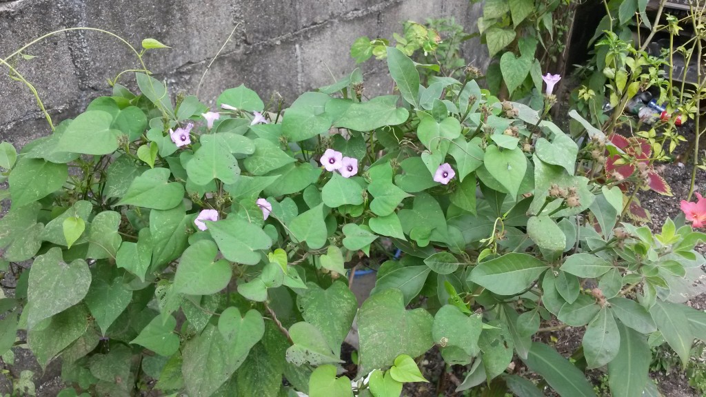 20150213_101411.jpg