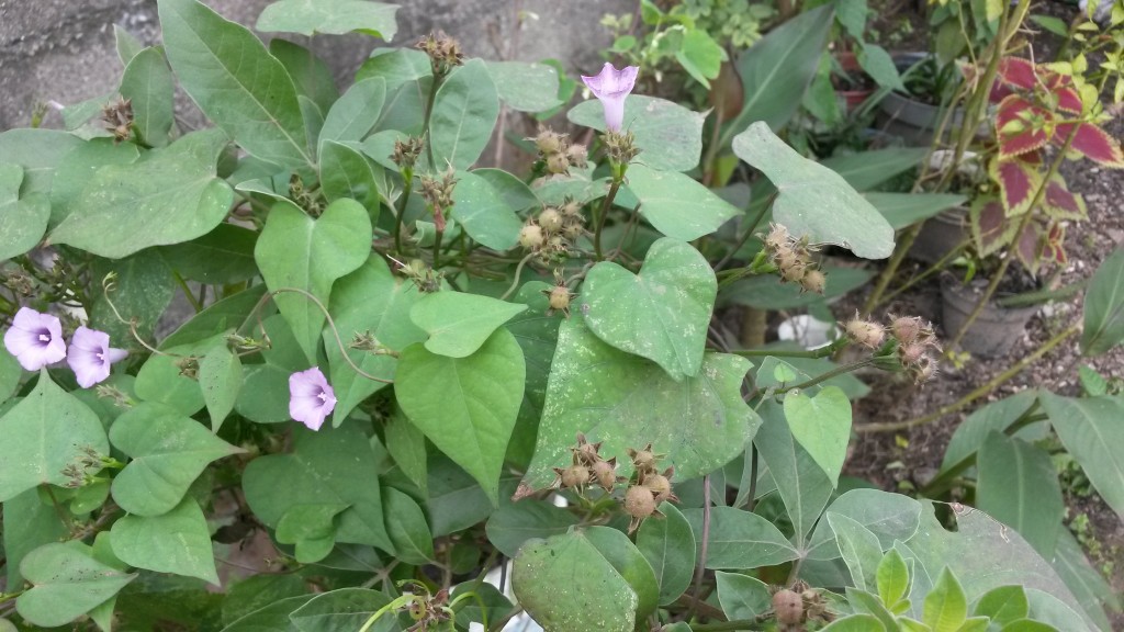 20150213_101429.jpg