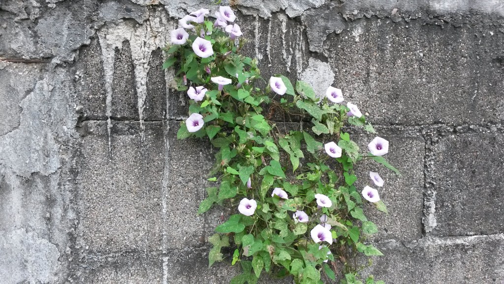 20150213_102209.jpg