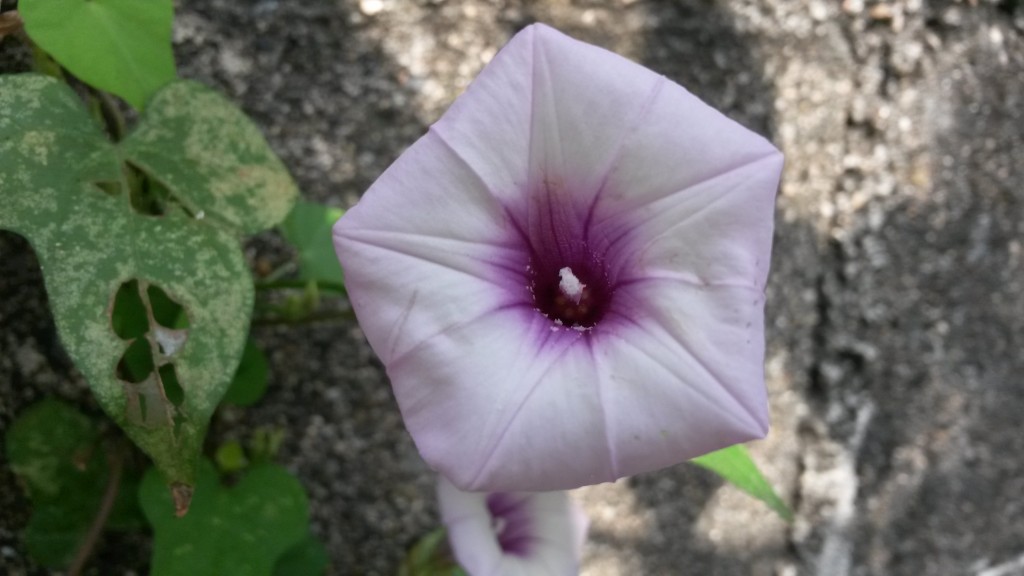 20150213_102304.jpg