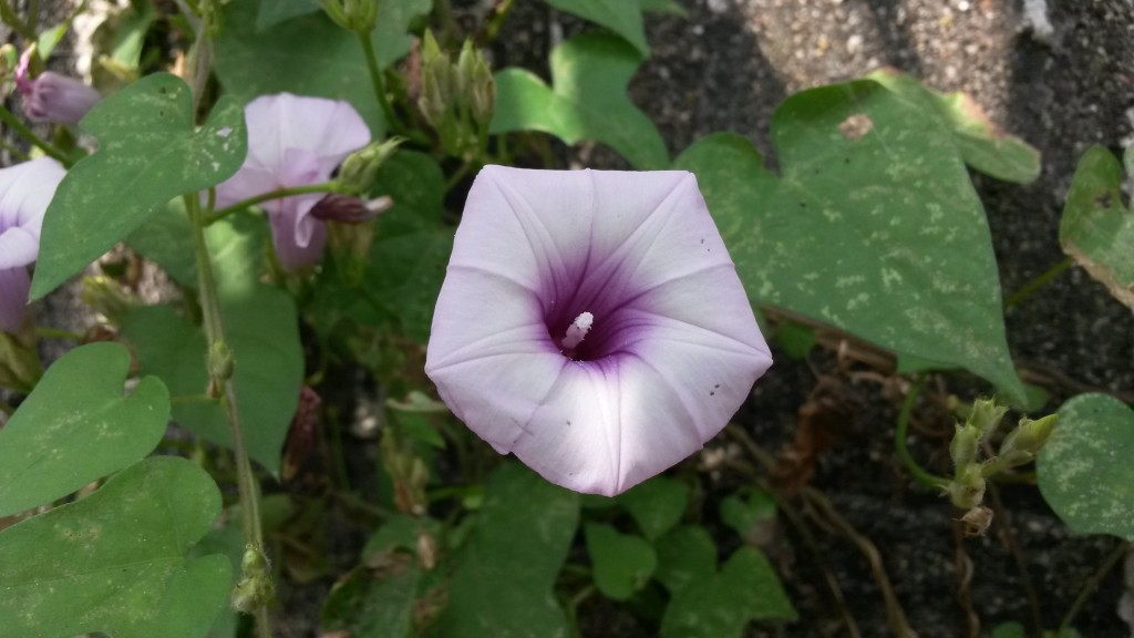 20150213_102313.jpg