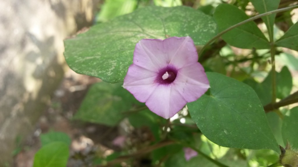 20150213_102405.jpg
