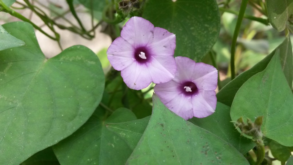 20150213_102412.jpg