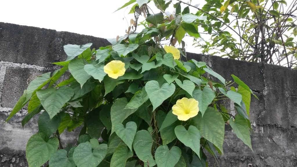 20150213_103223.jpg