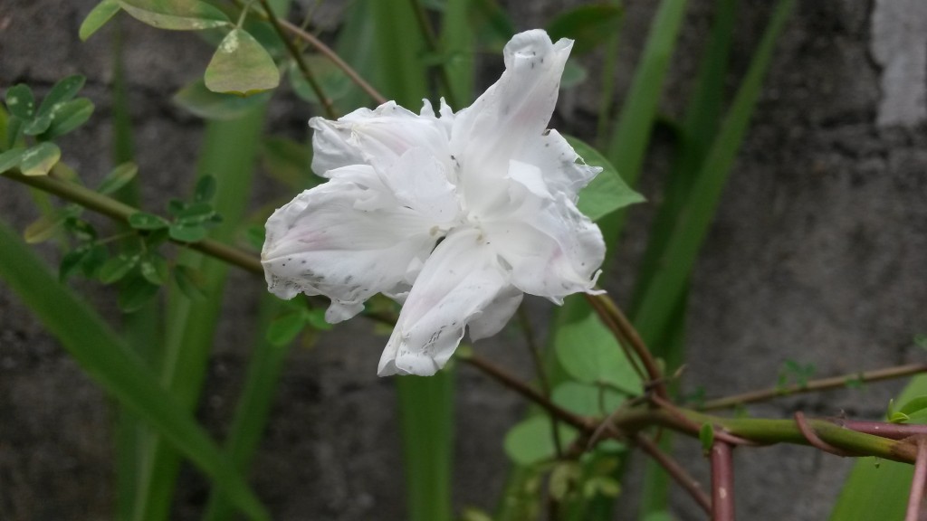 20150214_115656.jpg