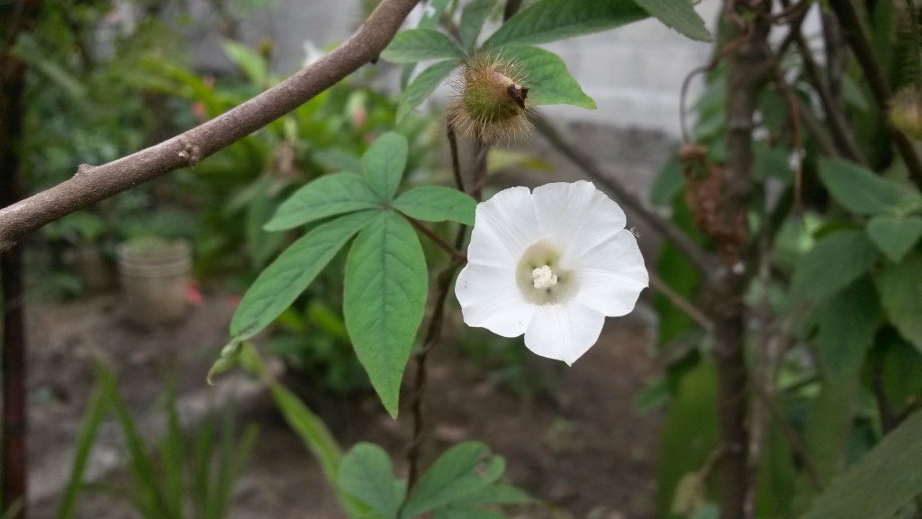 20150214_120116.jpg
