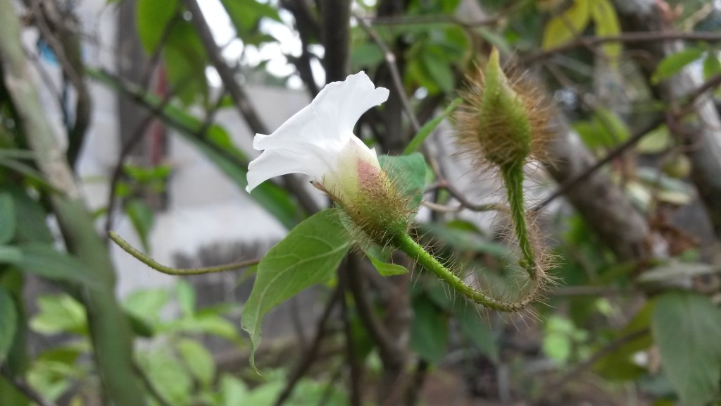 20150214_120210.jpg
