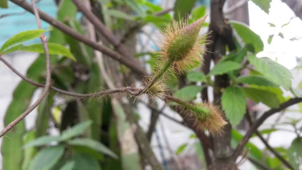 20150214_120225.jpg