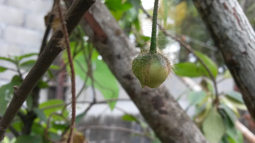 20150214_120238.jpg