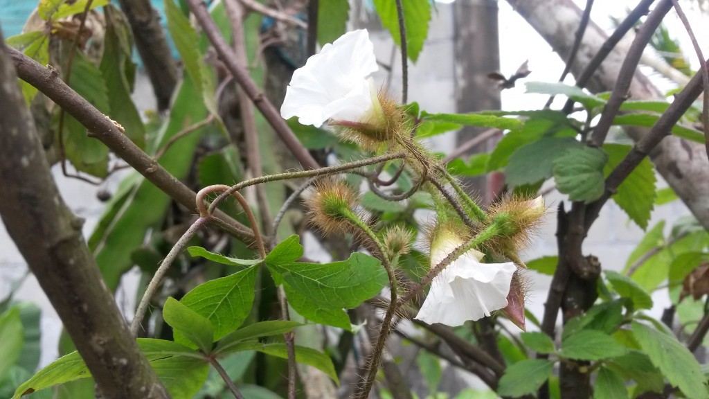 20150214_120320.jpg