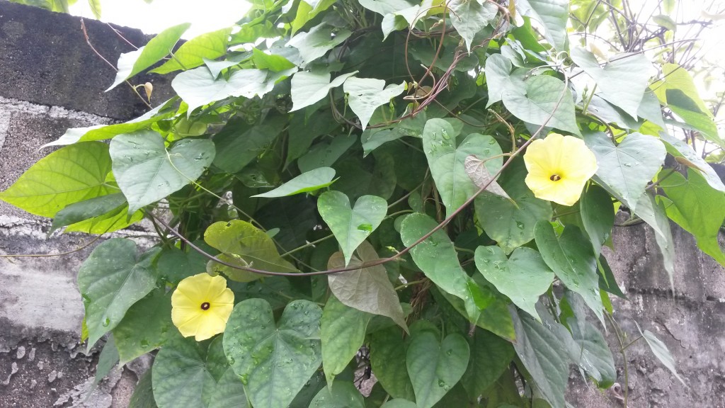20150219_130025.jpg