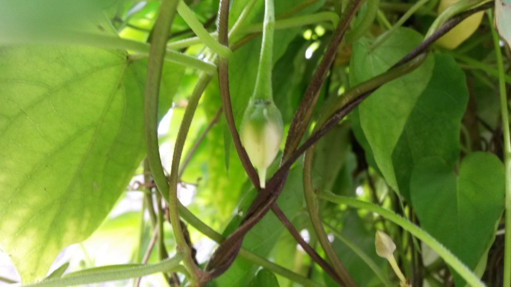 20150223_103238.jpg